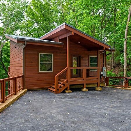 New Cozy Mountain Cabin Hot Tub Near Downtown 蓋特林堡 外观 照片