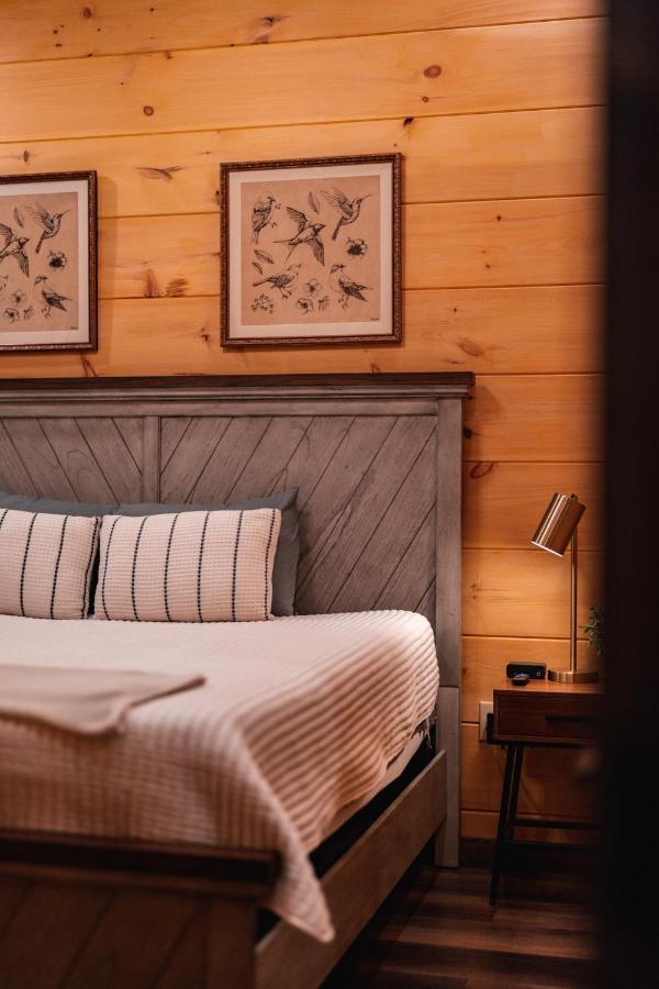 New Cozy Mountain Cabin Hot Tub Near Downtown 蓋特林堡 外观 照片